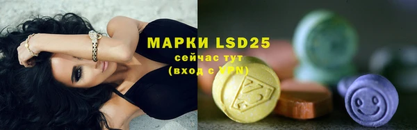 дживик Костерёво