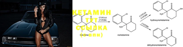 синтетический гашиш Коряжма