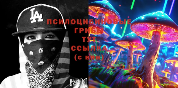 дживик Костерёво