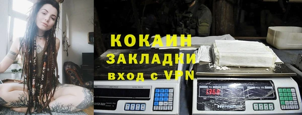 дживик Костерёво