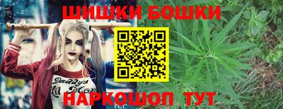 бошки Дубна