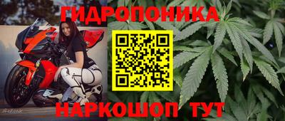 прущая мука Беслан