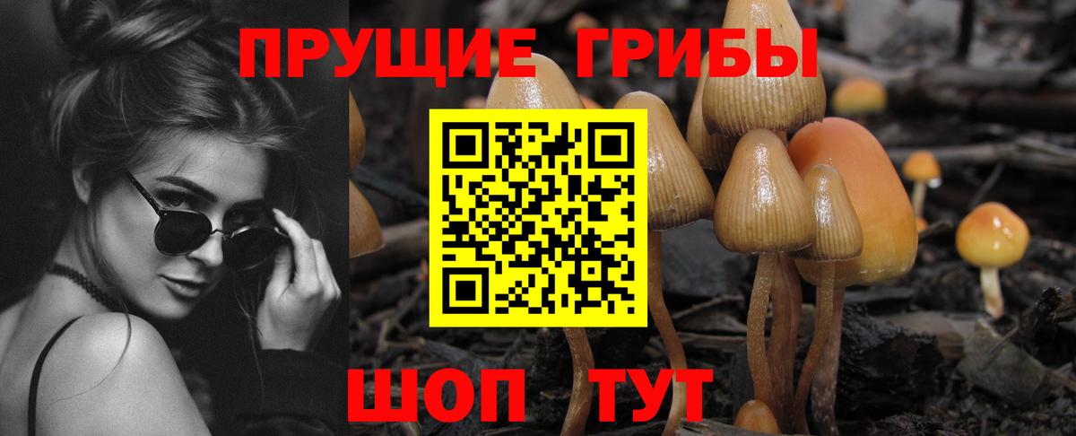 Псилоцибиновые грибы прущие грибы  Вход с VPN  Шахты 